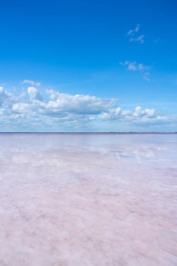Bursol pembe gölü. Bulutlar açık pembe suya yansıyor. Ekran koruyucu, duvar kağıdı, kartpostal için arka plan. Yüksek kalite fotoğraf