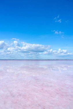 Bursol pembe gölü. Bulutlar açık pembe suya yansıyor. Ekran koruyucu, duvar kağıdı, kartpostal için arka plan. Yüksek kalite fotoğraf