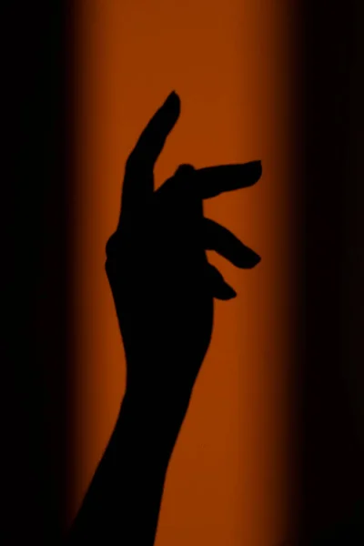 Silhouette, shadow of a woman\'s hand on the wall in the orange rays of the setting sun. Abstract background in blur, out of focus. High quality photo