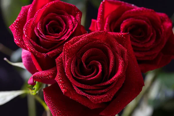 Bouquet Rose Rosse Fondo Nero Sfondo Floreale Verticale Carta Parati — Foto Stock