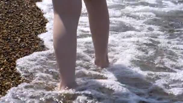 子供は湖を歩いている 波は子供の足を洗う — ストック動画
