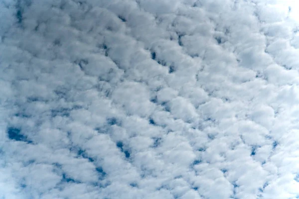 Nuvens Inchadas Céu Azul Foto Alta Qualidade — Fotografia de Stock