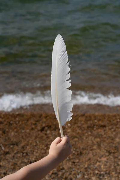 A large white feather in the hands of a child against the backdrop of the lake. High quality photo