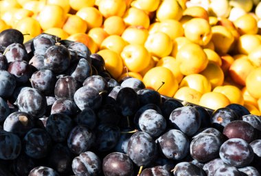 Bir sebze dükkanının tezgahında erik ve nektarin. Yüksek kalite fotoğraf