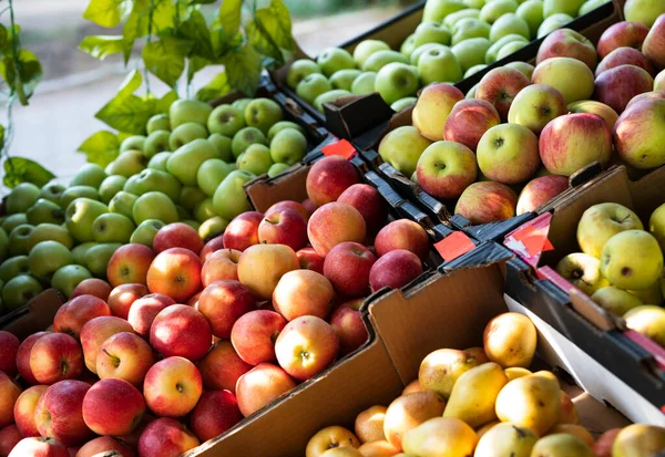 stock image Ripe red, green, yellow apples on the counter of a vegetable shop. High quality photo