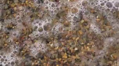 Dalgalar çakıl taşlı kıyıları yıkar.