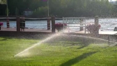 Çim sulama sistemi. Su yeşil çimlerin üzerine sıçrıyor. Yüksek kaliteli FullHD görüntüler
