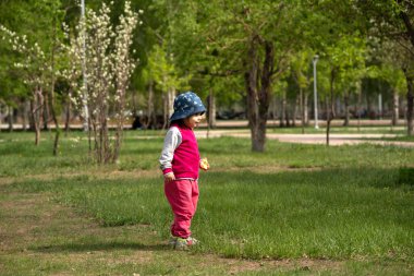 İki yaşında bir kız, şehir parkında güvercinlerin peşinden koşuyor. Yüksek kalite fotoğraf