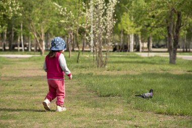 İki yaşında bir kız, şehir parkında güvercinlerin peşinden koşuyor. Yüksek kalite fotoğraf