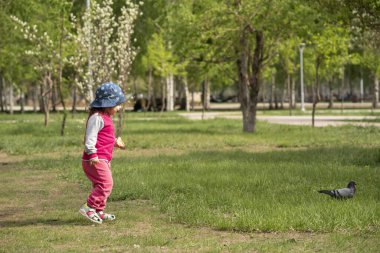 İki yaşında bir kız, şehir parkında güvercinlerin peşinden koşuyor. Yüksek kalite fotoğraf