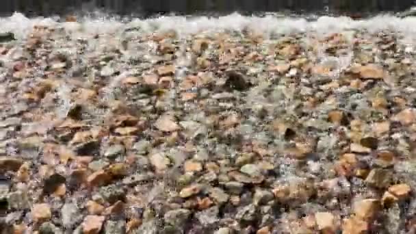 Water Flows Stones High Quality Footage — Stock Video