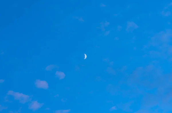 New moon in the blue sunset sky. Blue background with place for text. High quality photo