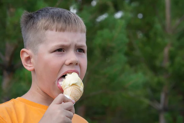 Blond Boy Eight Years Old Eats Ice Cream Waffle Cup Royalty Free Stock Photos