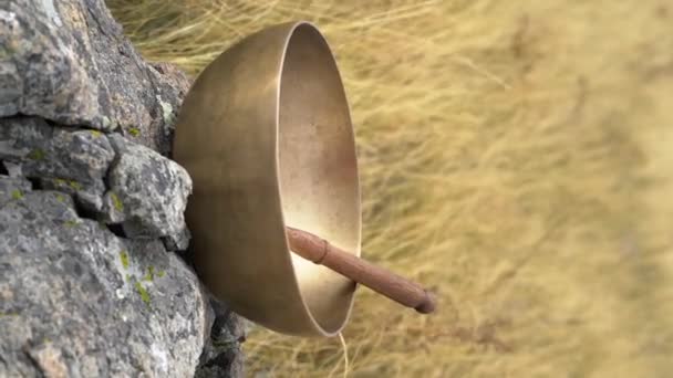 Tybetańska Miska Śpiewająca Stoi Kamieniu Polu Pionowe Wideo — Wideo stockowe