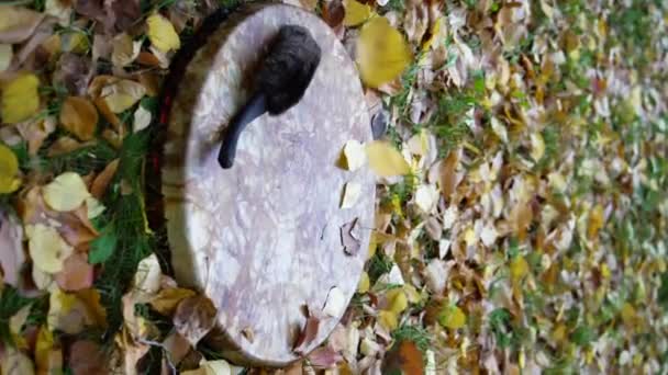 Шаманский Тамбурин Сделанный Настоящей Кожаной Лжи Осенних Листьях Вертикальное Видео — стоковое видео