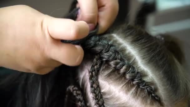 美容師はカネカロンを女の子の髪に織っています ボクサーブレード アフロブレイド 高品質のフルHd映像 — ストック動画