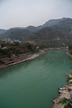 Paneer peynirinden yapılmış, yumuşak baharatlı ıspanak sosuna batırılmış ahşap arka planda bir kase Palak Paneer. Yüksek kalite fotoğraf