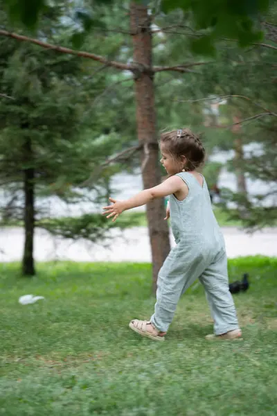 Üç yaşında bir kız parkta güvercinlerin peşinden koşuyor. Yüksek kalite fotoğraf