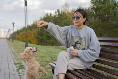 Genç bir Asyalı kadın bankta oturur ve oyuncak kanişine atıştırmalık bir şeyler yedirir. Yüksek kalite fotoğraf