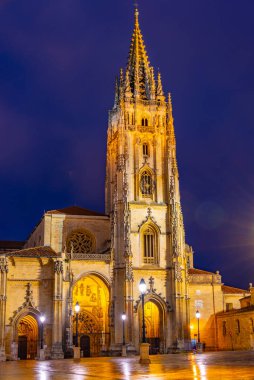 İspanya 'daki San Salvador Metropolitan Katedrali' nin gece manzarası..