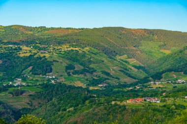 İspanya 'da Ribeira Sacra' daki üzüm bağları.