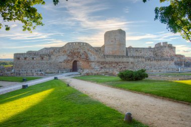 İspanya 'daki Zamora kalesinin manzarası.