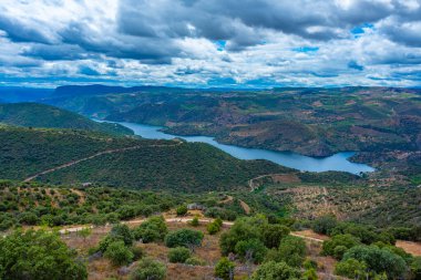 İspanya 'nın Vilvestre köyünden Douro nehrinin manzarası.