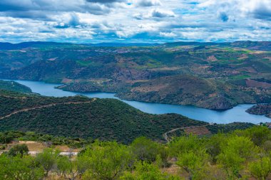 İspanya 'nın Vilvestre köyünden Douro nehrinin manzarası.