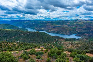 İspanya 'nın Vilvestre köyünden Douro nehrinin manzarası.