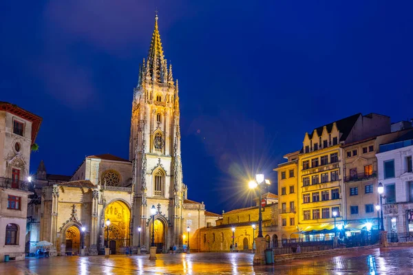 Éjszakai Kilátás Metropolitan Cathedral San Salvador Oviedo Spanyolországban — Stock Fotó