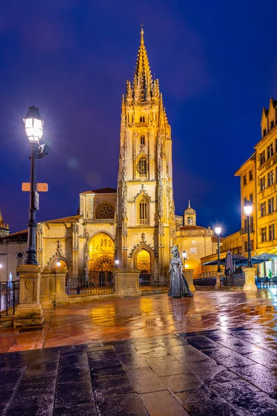 stock image Night view of La Regenta statue in front of the Metropolitan Cathedral of San Salvador of Oviedo in Spain.