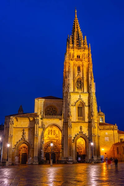 Vista Nocturna Catedral Metropolitana San Salvador Oviedo España — Foto de Stock