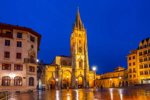 Vista Noturna Catedral Metropolitana San Salvador Oviedo Espanha — Fotografia de Stock