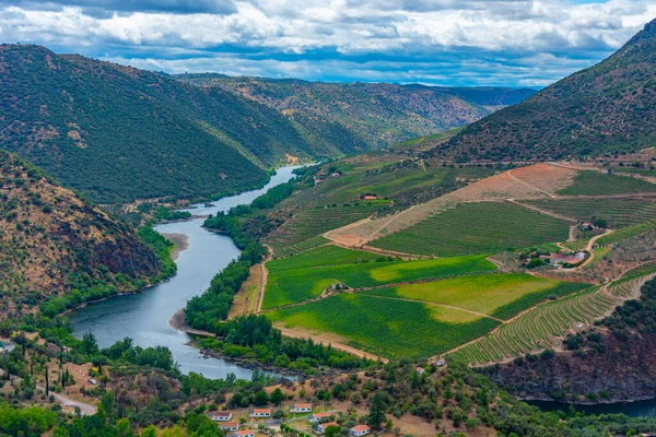 Πανόραμα Άποψη Του Ποταμού Douro Από Picon Del Moro Άποψη — Φωτογραφία Αρχείου
