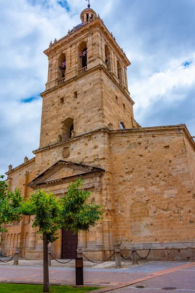 Kathedraal Van Ciudad Rodrigo Spanje — Stockfoto