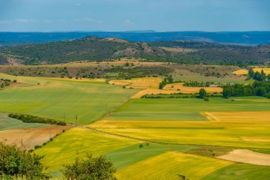 İspanya 'nın Castilla-La Mancha bölgesinin tarım manzarası.