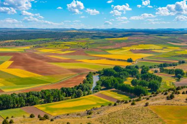 İspanya 'nın Castilla y Leon bölgesinin tarım manzarası.