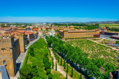 İspanya Olite 'deki San Francisco manastırındaki üzüm bağları..