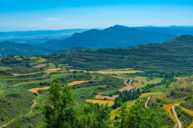 İspanya 'daki Navarra bölgesinin tarım manzarası.