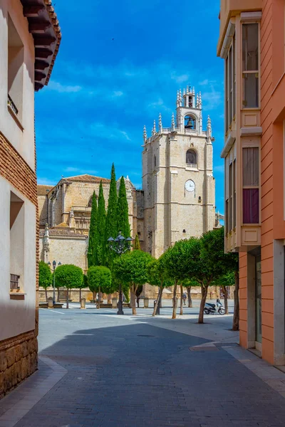 スペインの町パレンシアにあるカテドラル アントリン — ストック写真