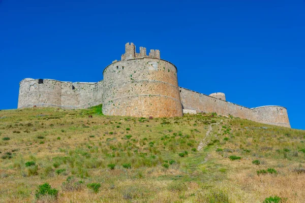 Castillo Berlanga Duero España — Foto de Stock