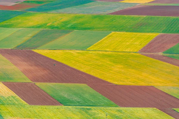 stock image Agricultural landscape of Castilla y Leon region in Spain.