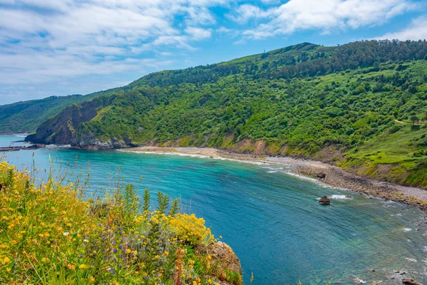 stock image Rugged coastline near San Juan de Gaztelugatxe church, Spain.