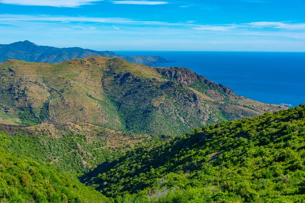 İspanya 'da Cap de Creus' un kıyı şeridi.