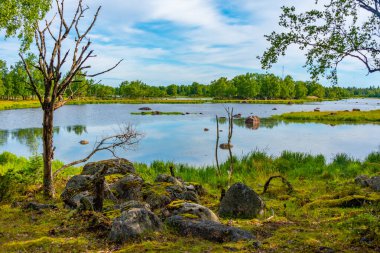 Finlandiya 'da Kvarken takımadalarının doğal manzarası.