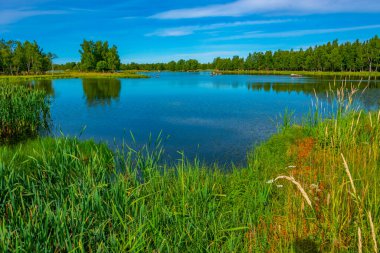 Finlandiya 'daki Kvarken takımadalarının Panorama görünümü.