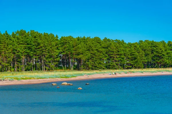 Přírodní Pláž Blízkosti Hanko Finsku — Stock fotografie