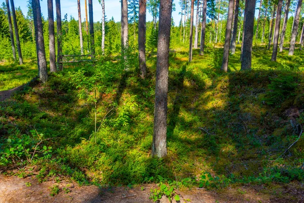 Trenches Hanko Front Museum Finland — Stock Photo, Image