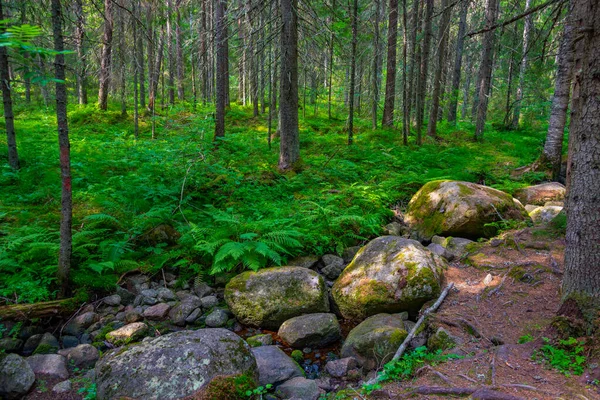 Paisaje Natural Del Parque Nacional Helvetinjarvi Finlandia —  Fotos de Stock