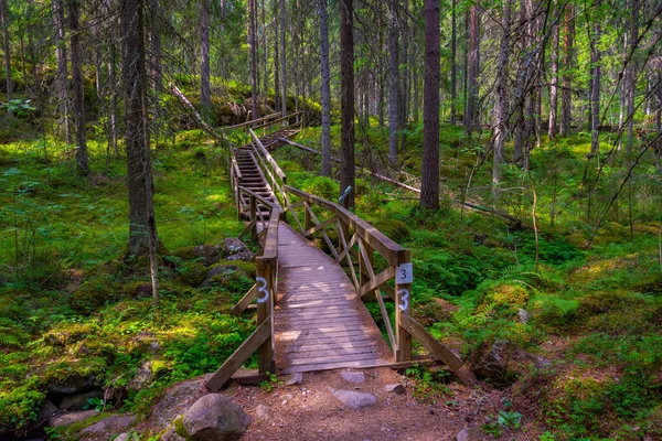 Helvetinjarvi Nemzeti Park Természeti Környezete Finnországban — Stock Fotó